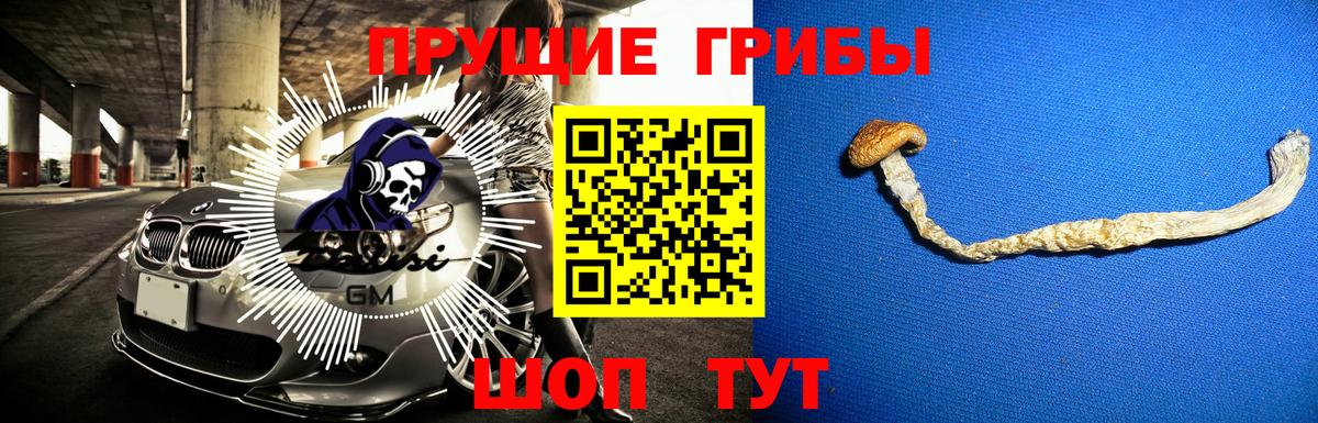 Псилоцибиновые грибы ЛСД  Вход с VPN  Псилоцибиновые грибы мицелий  Новодвинск 