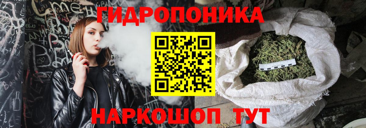 Шишки марихуана THC 21%  Марихуана THC 21%  Новодвинск  Вход с VPN 